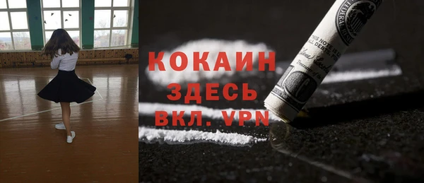 mdpv Горно-Алтайск